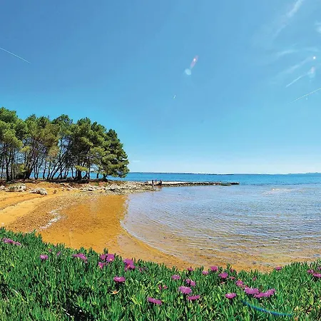 Gorgeous In Otok With Wifi *